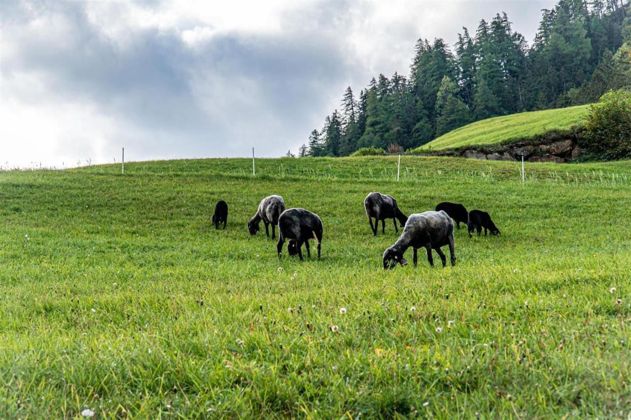Zoeschgenhof Leilighet Matrei in Osttirol Eksteriør bilde